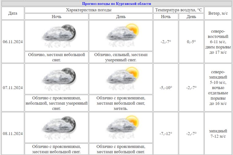 В Курганской области ночью 8 ноября похолодает до минус 12 градусов