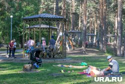 «Аренда» бесплатных беседок обойдется тюменцам в 2 000 рублей 
