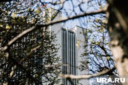 Замы приступили к работе с 1 октября