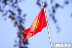 Уроженка Киргизии не выплачивала налоги в Курганской области