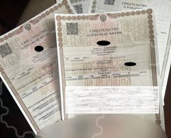 Теперь малышей зовут Борис и Николай