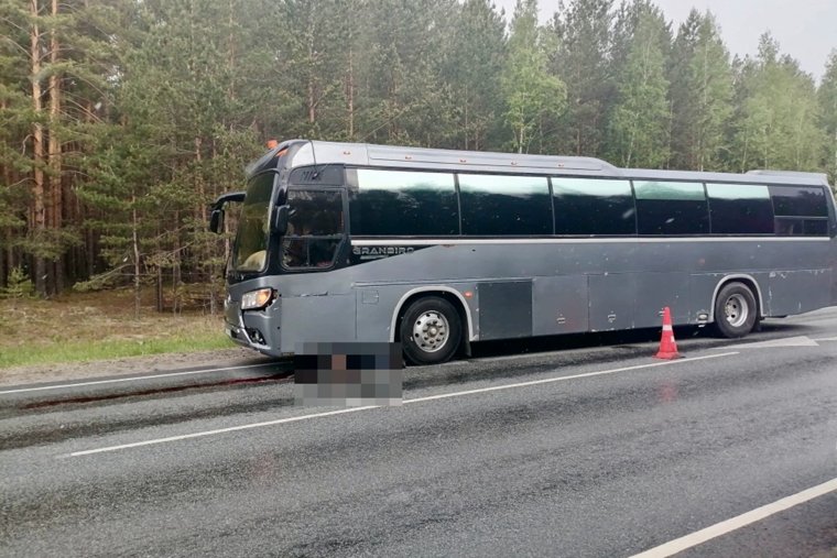 Автобус насмерть сбил молодого человека в Белозерском округе