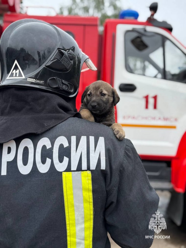 Малыши пока живут в 11 ПСЧ