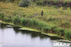 В Катайске зарос бурьяном единственный пляж в городе (архивное фото)