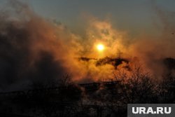 Туман существенно снижает видимость