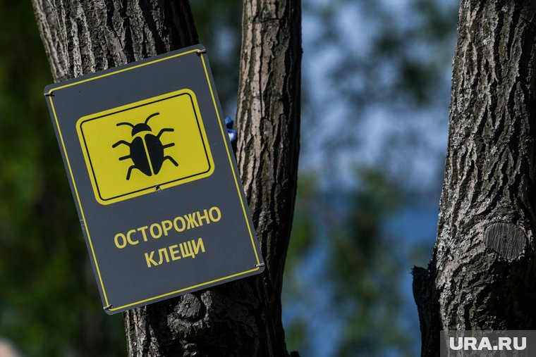 ХМАО входит в число 15 регионов России со средним уровнем эпидемиологического риска