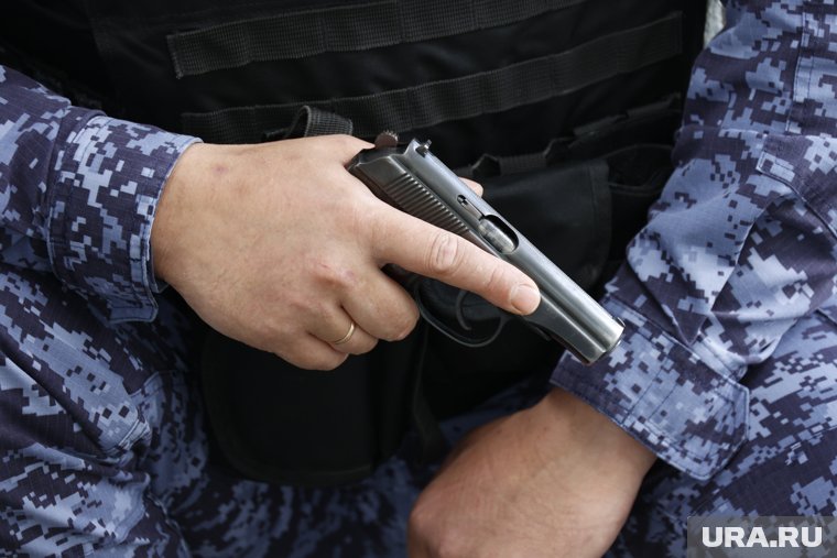 В РФ изменился порядок выдачи разрешений на ввоз и вывоз оружия