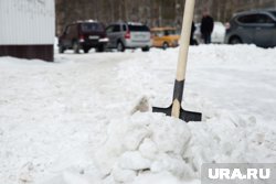 В Лабытнанги мужчина получил срок за избиение лопатой собутыльников (фото из архива)