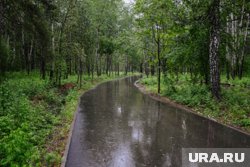 В Тюмени создадут новые парки и скверы 