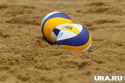 Спортивный фестиваль объединит турниры по различным дисциплинам
