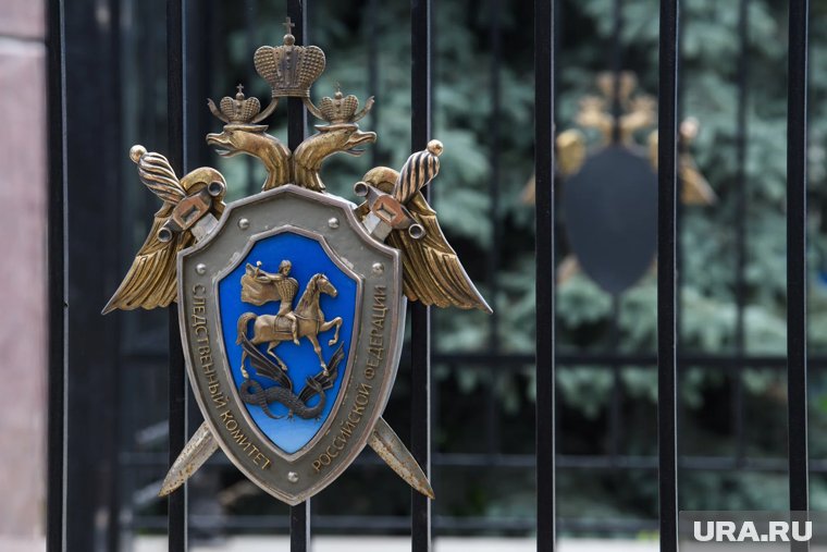 СК РФ сообщил об обвинении Круглову в распространении фейков