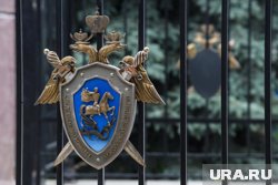 СК РФ сообщил об обвинении Круглову в распространении фейков