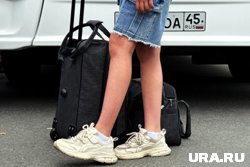 В МИД РФ рассказали о маршрутах бесплатных шаттл-автобусов для туристов