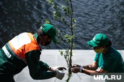 Полиция назначит проверку из-за повторного случая вандализма 