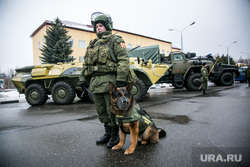 Однодневные сборы парламентариев и прессы в 21 бригаде Росгвардии. Москва, служебная собака, вежливые люди, росгвардия, овчарка