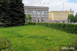 Одуванчики перед городской администрацией. Челябинск, одуванчики, сорняки, не стриженый газон