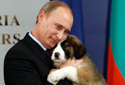 Путин с овчаркой Баффи, подаренной президентом Болгарии