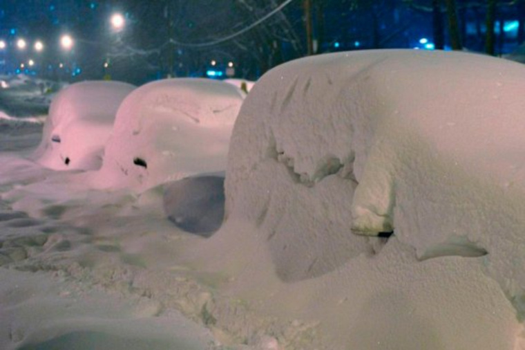 Москва и центральная Россия пережили самый настоящий «снегопад века»
