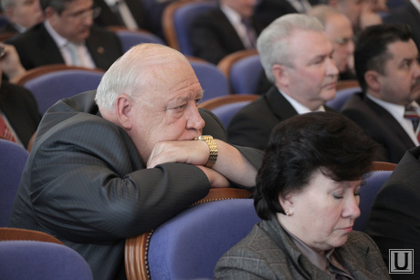 Дубровский с главами городов и районов, 12 февраля 2014  Челябинск, котов владимир