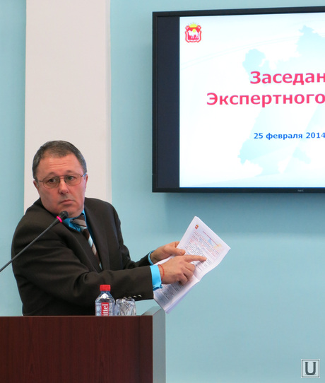 Экспертный совет при губернаторе Челябинской области, мительман семен