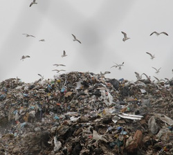Заводы по переработке мусора в свердловской области