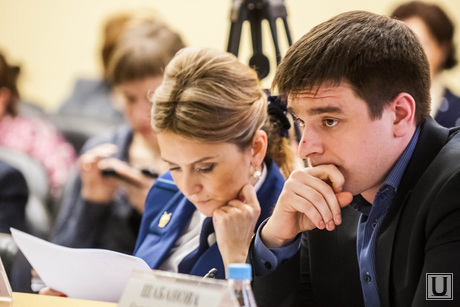 Гордума-комиссия по бюджету март 2014 Тюмень, городская дума