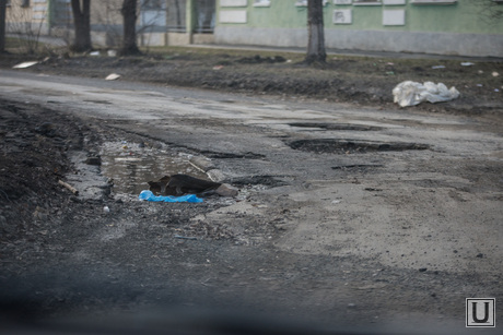 Поездка в Каменск-Уральский. Осмотр дорог города, чистоты улиц и т.д.