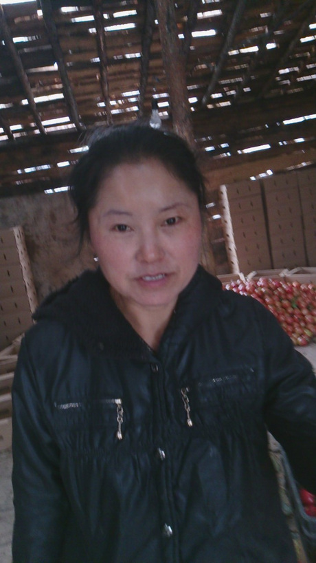 Китайцы выращивают огурцы в свердловской области