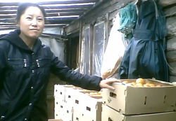 Китайцы выращивают огурцы в свердловской области