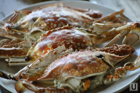 Таиланд, еда, морепродукты, лобстер, краб, деликатес