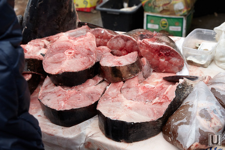 2014_12_Клипарт, рыба, рынок, морепродукты, мясо