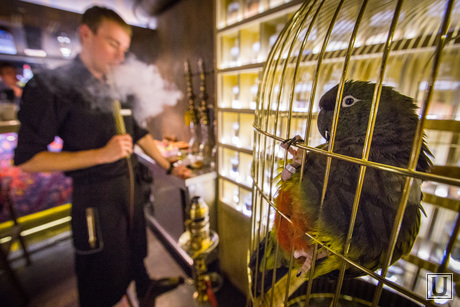 Кальян в ресторане 
