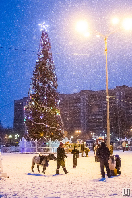Ледяные скульптуры и елки новогодние. Тюмень