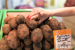 Юлия Михалкова на областном рынке на Громова г. Екатеринбург, картошка, картофель