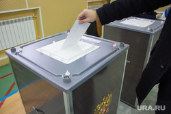 Выборы губернатора Тюменской области. Нижневартовск., урна для голосования, выборы