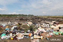Вырубка леса  КГСХА Курганская область, свалка мусора