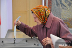 Выборы в Кургане 14 сентября 2014 года