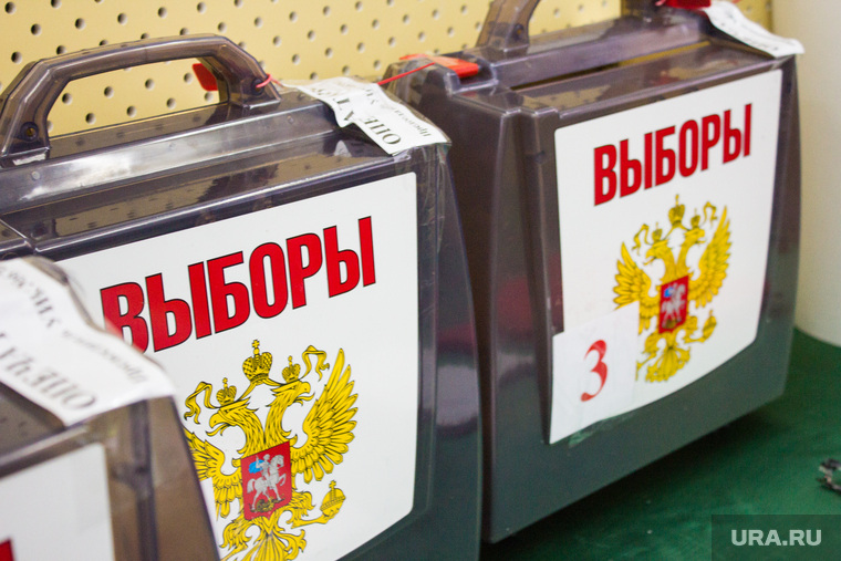 Выборы губернатора Тюменской области. Нижневартовск, топ, урна для голосования, выборы 2024