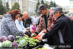 Открытие овощной ярмарки  Курган, овощи, покупатели, овощная ярмарка, фермеры