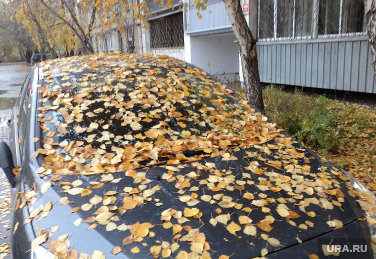 Погода. Снег. Грязь Челябинск., машина, погода, желтые листья, осень