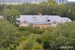 Коркино. Роза. Челябинск., крыша, деревья, коркино, дом в зелени