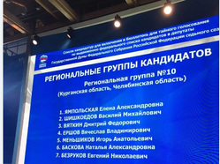 Челябинск на съезде "Единой России", монитор, списки выборы