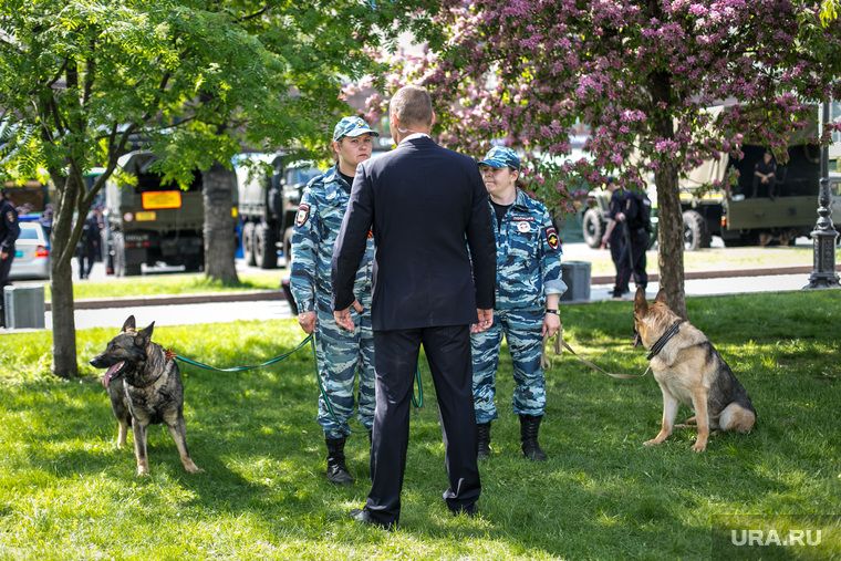 Шествие "Бессмертный полк". Москва, служебная собака, бессмертный полк, 9 мая, шествие