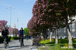 Виды Екатеринбурга, аллея, велосипедисты, проспект ленина