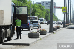Городские клумбы. Челябинск, гаи, полиция, клумба с цветами, гибдд, дпс, проверка на дорогах