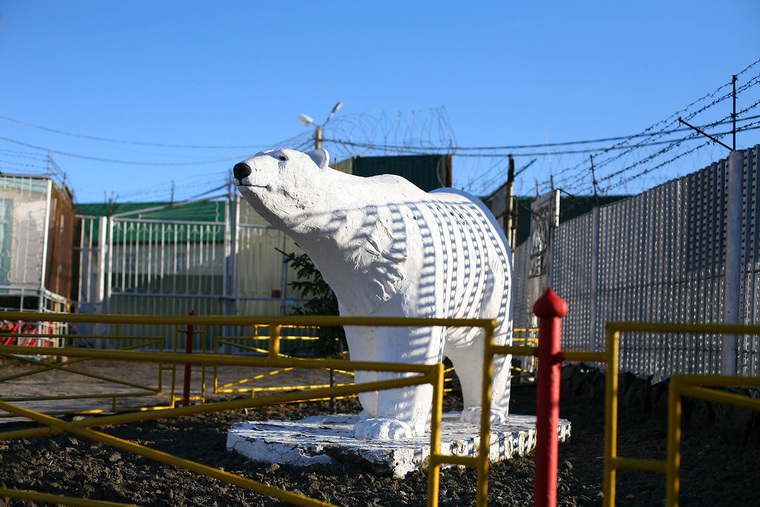 Белый медведь охраняет вход в лабытнангскую колонию