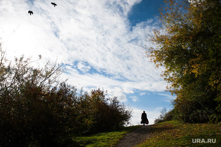 Виды Екатеринбурга, прогулка, деревья, парк, осень