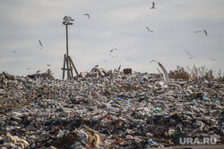 Проверка ОНФ и Общественной палатой Тюменской области полигона твердых бытовых отходов на Велижанском тракте. Тюмень, экология, отходы, полигон тбо, мусор, свалка