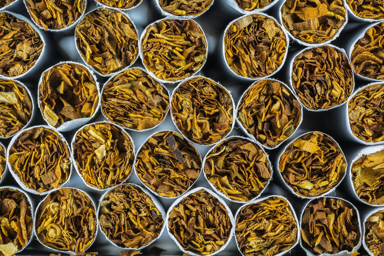 В России фактически может появиться табачная монополия, прогнозируют эксперты