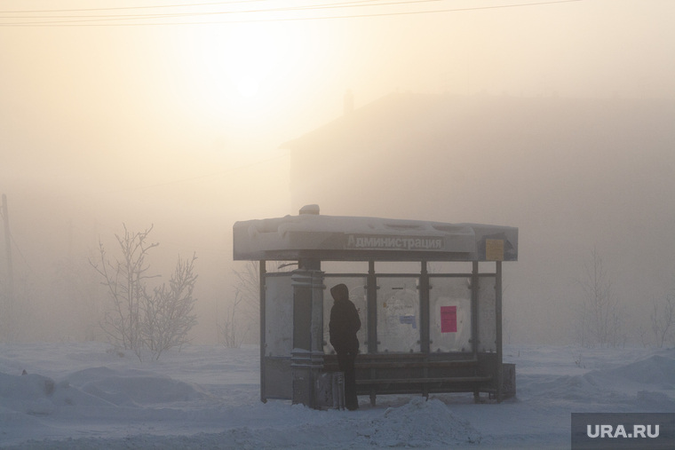 Мороз и ледяной туман. Салехард. 31 января 2019 г, остановка транспорта, мороз, зима, туман